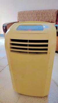 سبلت • بريطاني • نظافة ٩٠٪