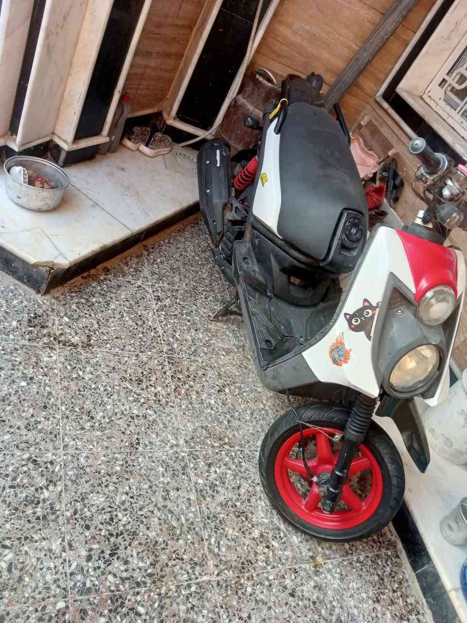 سلام عليكم حبايبي سكنس جبلي دراجه قبل تلث ايام مطلعه رنبه بلكارتون موديل 14دراجه جديده حيل سعر اتصل***********
