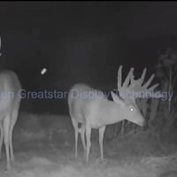 نظارة ليلية • نطاق ٩٨٤م/٣٠٠٠م • 2K/10MP