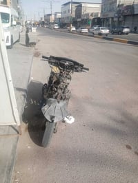 فراشه • شغاله • ابو الخصيب
