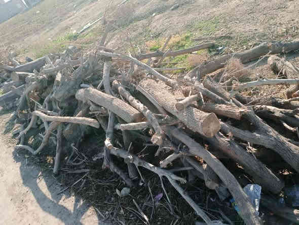 حطب  للبيع التواصل مع صاحبهن
***********
