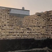 07728253196