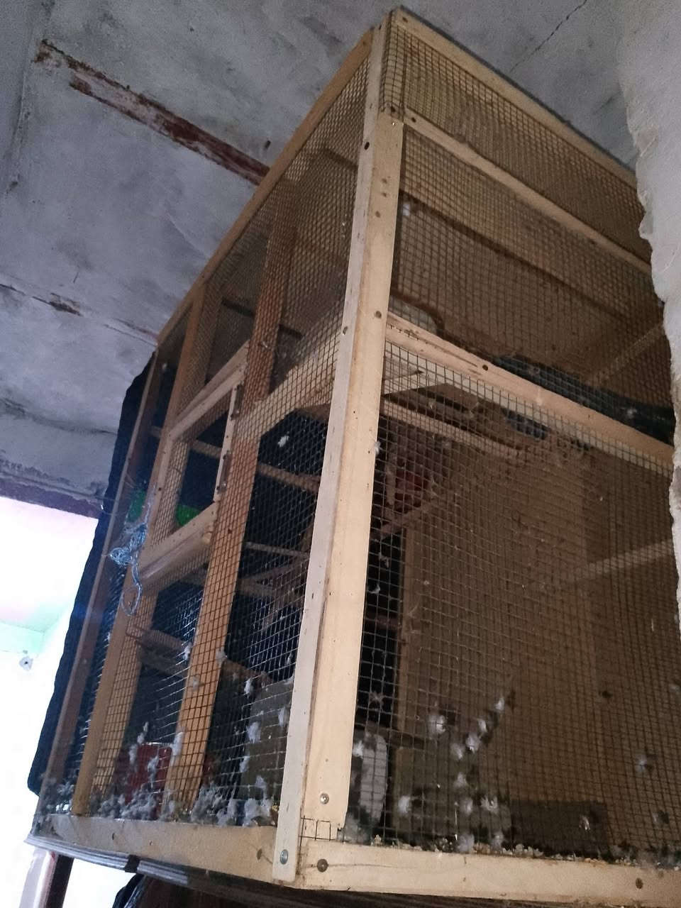 خانه ام 3 ب 25 قفص ب 25 اخشاب ومعاكس ب 10 بيعا وحده مكاني كرمه علي حي الرساله ***********
