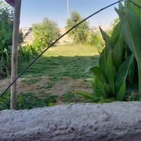 بيتین • دونم ونص • ماء وكهرباء