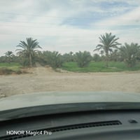 البصام • ١٠ دونم • طابو ملك صرف