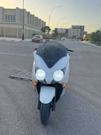 MF0 10 • شغالة • خيط بخار