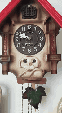 للبيع ساعة كوكو ماركة ستزن ياباني اسواق الدقيقة بحالة ممتازة تعمل بنظام البطارية حجم الكبير نظيفة الساعه جداً نظيفه واحلى من صور فقط بيها ملاحظات مثل ما موضح بالفديو السعر 250 مع التوصيل مكاني بغداد جسر ديالى القديم *********** _ ***********
