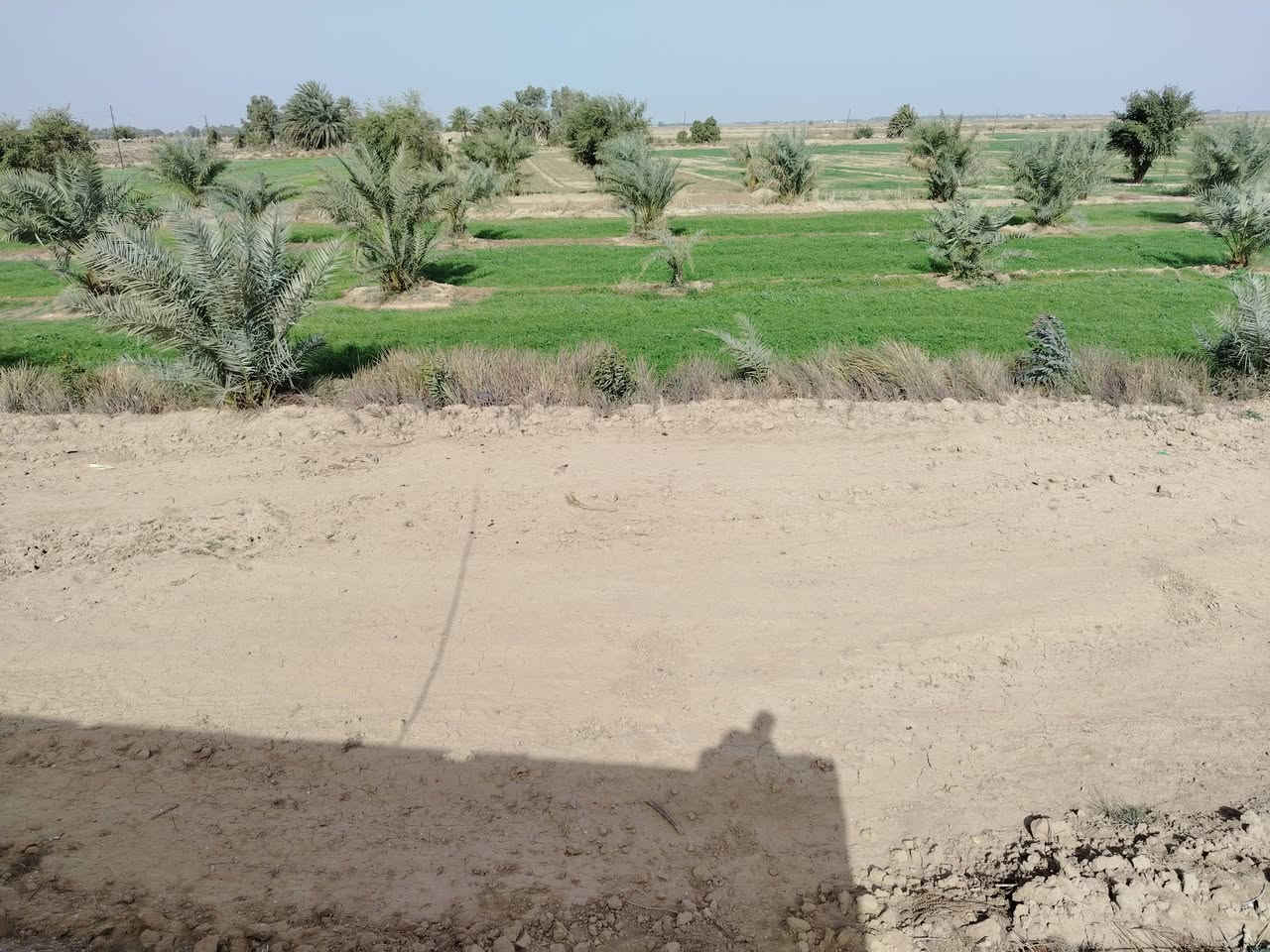 5  دونم
مع بيت بناء جديد مع بستان مثمر
***********
