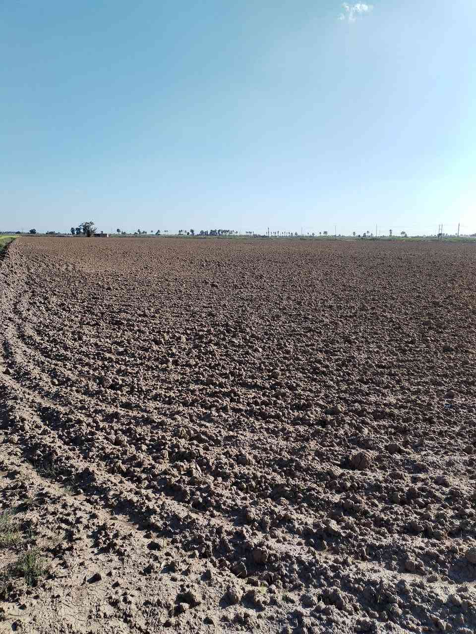 سلام عليكم ورحمة الله وبركاتة 80دونم للبيع عنوان بغداد الرضوانيه عله سريع الدولي قرب من حي الجهاد والمكاسب الشراي يتفضل خاص افهمه بل باقي ***********واتساب سعر الدونم 30وبي مجال
