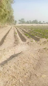 اربعه دونم طابو 25 تحويل مباشر ابوغريب حي الرساله عليها طريقين معى بيو...