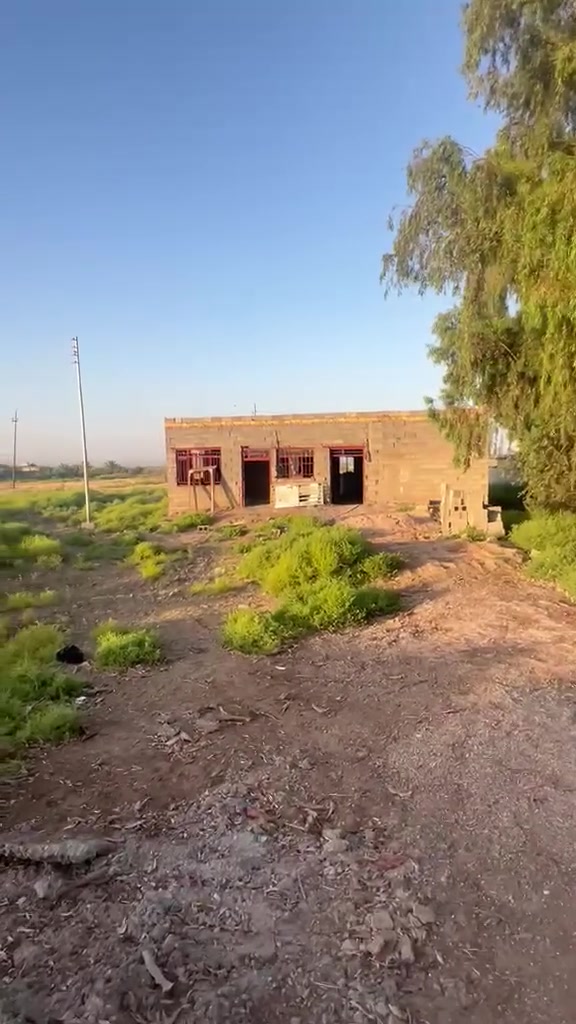 سلام عليكم بيت مع قطعه ارض مساحه دونم ومساحه لبيت 300بناء جديد موقعه حلو قريب علناضم تواصل مع هاذ رقم ‏‪***********‬‏ وتفاصيل داخل لفديو
