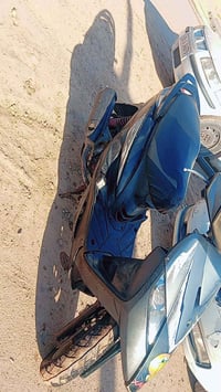 ثعلب للبيع مكان الحريه لاستفسار عل الرقم مكلف بلنشر 07713726994