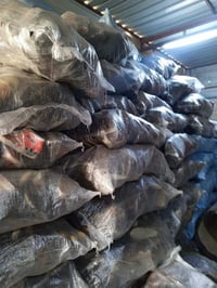 ترانشوز • بوتين رجالي ونسائي • شلفان