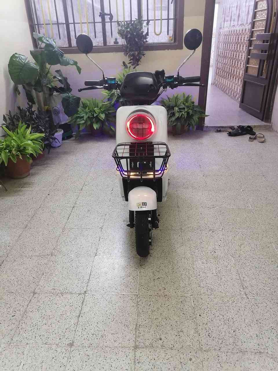 متاح مطور الريان مديل ٢٠٢٦ كلو شرط *********** بس وستاب
