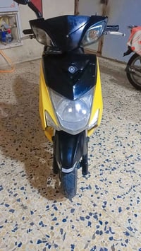 سكنس فحل • موديل ٢٠٠٢
