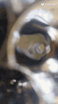 ورحمه الله وبركاته شباب ستوتة البيع موديل 2020او بيهة مكينة 2024ستوتة ...