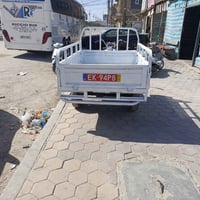 ستوته • كامله • عراق