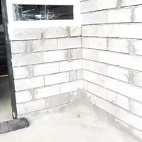 تل الماجد • ٢٥٦م • سند رسمي