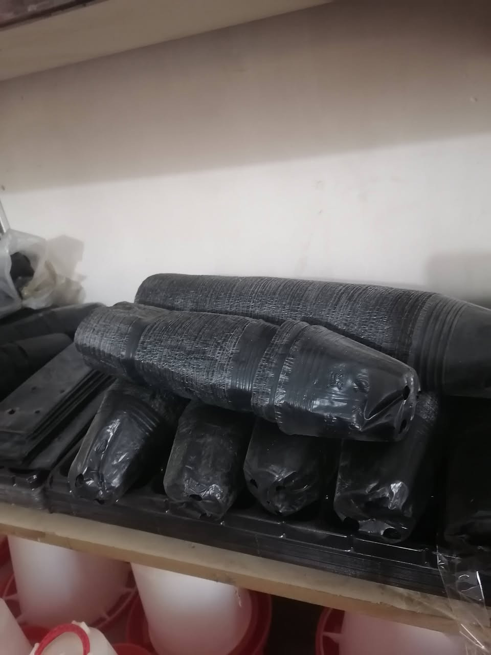 متوفر أقراص شتول زراعية

متوفر اطباق شتول

كافه الأحجام والقياسات

جمله ومفرد
الجدعه الشارع العام مقابل اقمشه رزان ومطحنه وميزان الخيرات ***********

مكتب الصوافي للخدمات الزراعية والبذور
