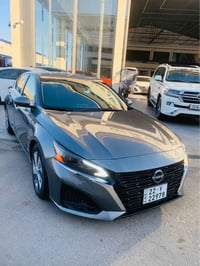 التيما • ٢٠٢٣ • اربيل