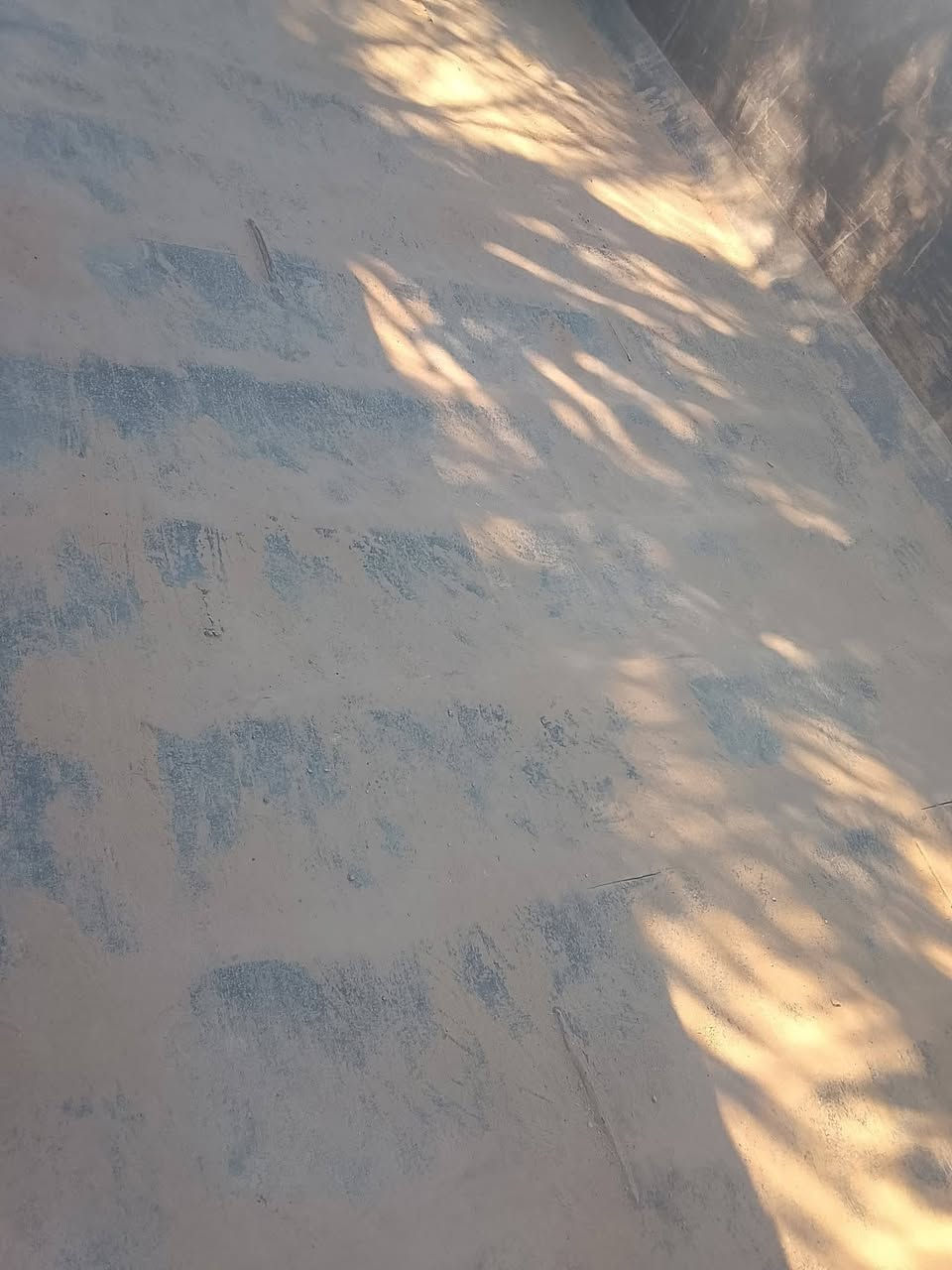 السلام عليكم بدي ابوالعلم للبيع السعر ١٢ ورقة الطول ٥ مترات مكاني ديالى بلدروز *********** مال سكانيا ١١١
