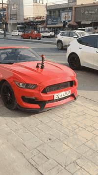 موستنك ايكو بوست 2016 بيه قطعتين بدون دواخل بدون ايرباك وبيه قطعه خلفيه طخه جه السايق ع حطته السياره كاسره بستم خانه اوله دخن ابيع ع وضعه السعر 105$ وبيه مجال للشراي 
***********
