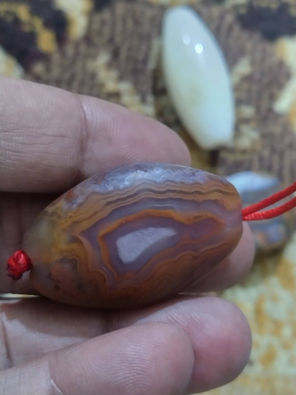 3 خرزللبيع


**إذا كنت صاحب هذا الإعلان وتريد حذفه لأي سبب، رجاءا أرسل رسالة إلى الدعم الفني**