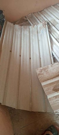 جينكو • ٧ قطع • ٢٫٥م