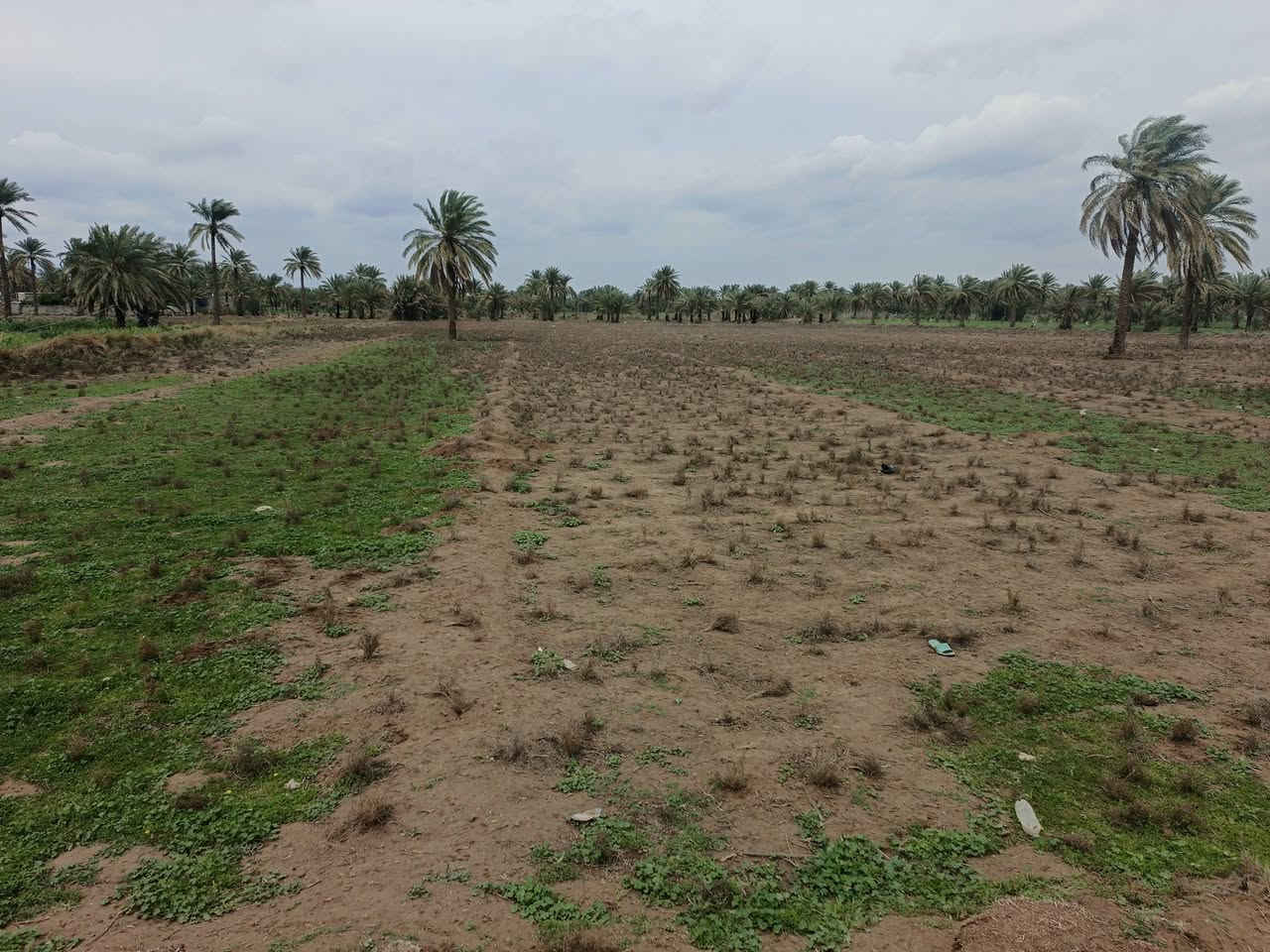 اسلام عليكم قطعه ارض لبيع طابو زراعي سند 25 تحويل مباشر
المساحه الكليه 7دونم  الواجه 110 
خدمات كامله تبعد عن الشارع العام 200 متر
موقع الرض منطقه الدسميه قرب حسينيه سيد شاكر
تصلح تقسيم تصلح مزرعه كلش حلوه شارعه 8متر
يتوفر كافه الخدمات  لمعلومه الكاع تنباع كله 7دونم
سعر الرض اتصال ع الرقام   بسعر مناسب  
***********
***********
