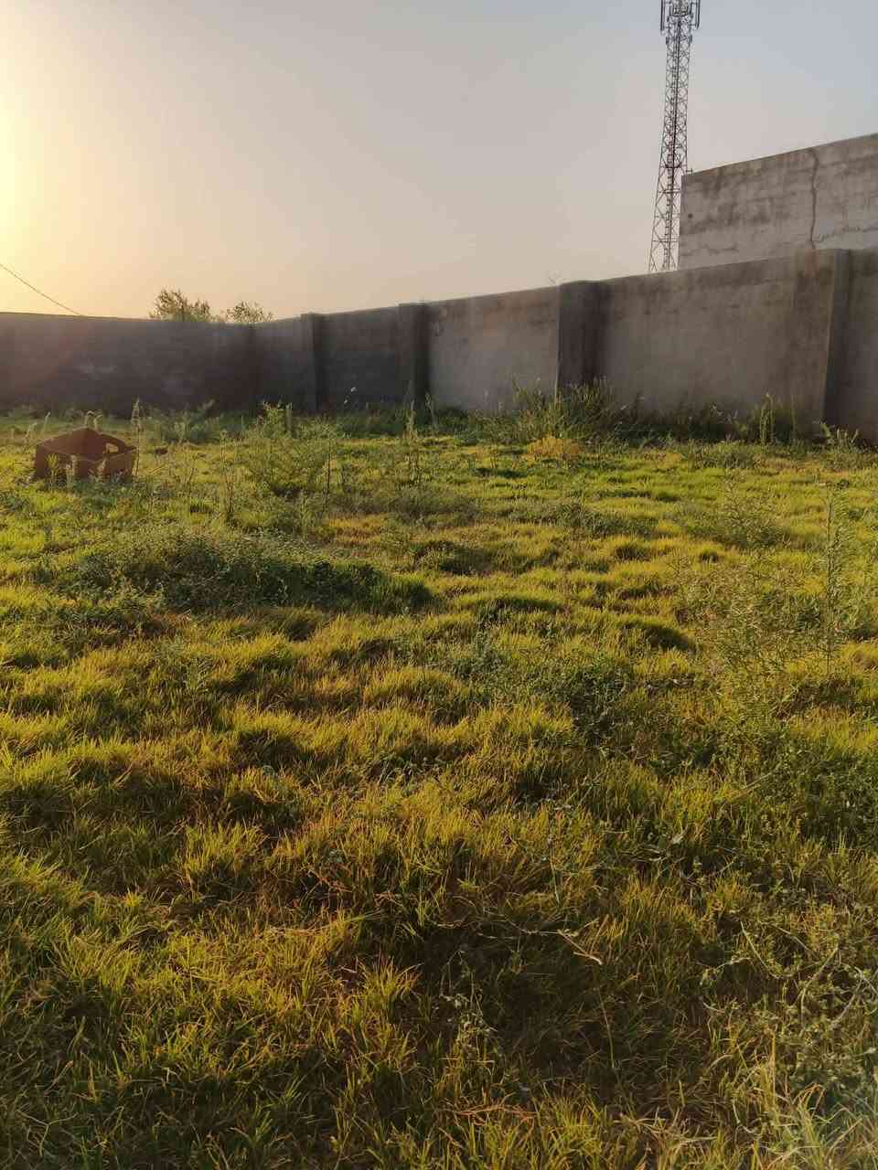 🙋 سلام عليكم 
مستعدين لترتيب حديقة وتنظيفها 🏡
وترتيب وتعديل اشجار 🪴🌲
وقطع اشجاراكبار 🌳🪾
وتنصيب حديقة من صفر 🏜️
كلشي وكلاشي يخص حديقة ماعليكم فقط💁 الاتصال 📱وتدللون🙆
***********
والصور مجموعة بسيطة من اعمالنة
