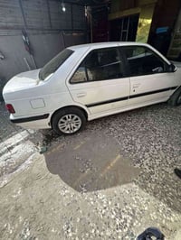 بيجو بارس • ٢٠٢٢ • باب صبغ