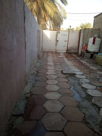 الكوفة بعلوة الفحل • بيت ومشتمل • ٢٨٥م