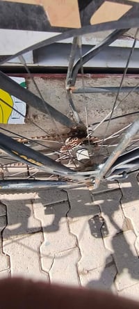 بايسكل • بريك ماكو • تايرات كاملة