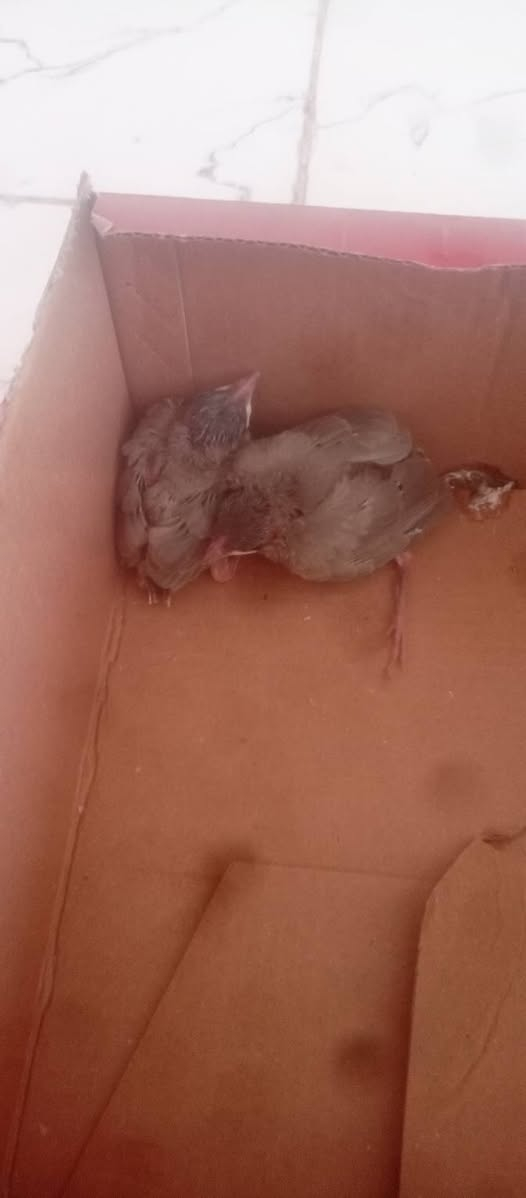 للبيع ب25 مكان ناصريه فرع زيادات


**إذا كنت صاحب هذا الإعلان وتريد حذفه لأي سبب، رجاءا أرسل رسالة إلى الدعم الفني**