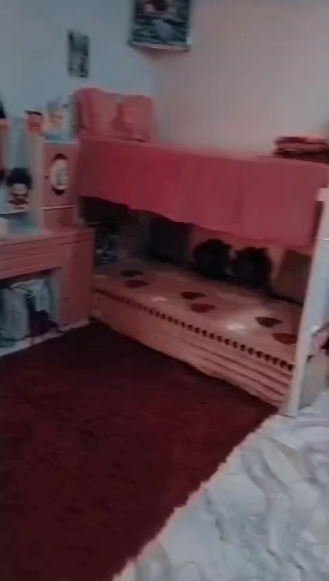 بيع جرباية طابقين مع الدواشك مالتهن جدد عدد ثنين مع الميز مراية العنوان بغداد الزعفرانيه اي استفسار الاتصال على الرقم ***********
