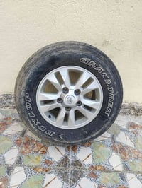 تخم ويل مع كبات حجم 17 سعر400بي مجل07805695166