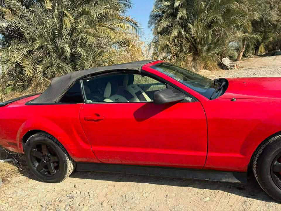 موستنك البيع موديل ٨مكينه كير صدر حداديه كفاله تخم تاير مكان كربلاء سعر ٤٥وبيه مجال ستفسار ***********
