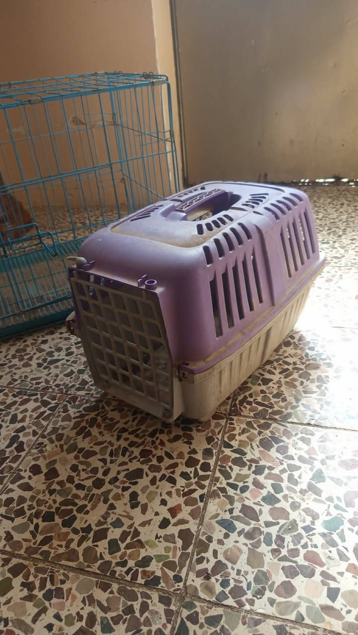 غراض للبيع بسعر مناسب
غساله ملابس حجم كبير  سعرها / ١٢٥
شاشه بدون نت حجم ٤٢ سعرها / ١١٠ 
غسالة اطفال حوضين حجم صغير سعرها / ٦٠ 
قفص عدد ٢ سعرها /٤٠ 
كلها بيهــآ مجال قليل


**إذا كنت صاحب هذا الإعلان وتريد حذفه لأي سبب، رجاءا أرسل رسالة إلى الدعم الفني**