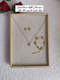 فان كليف • ستانلس ستيل • طلاء ثابت