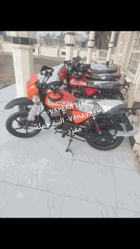 متوفر انواع الدراجات شكل الجديد والقديم السعر 1,500 مرقم مليونين و600 جبلي مكان ديالى خلاص عندنا توصيل شامل الى جميع المحافظات اتصل وبخير وتدلل للبيع جمله مفرد اسعار تفليش اداره سمير العبيدي *********** ***********
