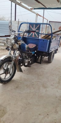 ستوته • موديل 12 • رقم وسنوية