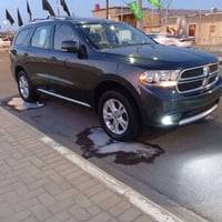 ٢٠١٣ • ٨ سلندر • زينون كامله