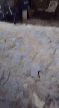 السلام عليكم اماميه60,متر 6×10 طابو صرف عنوان الشعله قطاع2قرب مدرسه الأمام المنتضر للأستفسار الاتصال ع الرقم *********** واتساب موجود
