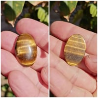 رخصة إدارة • الاكروب