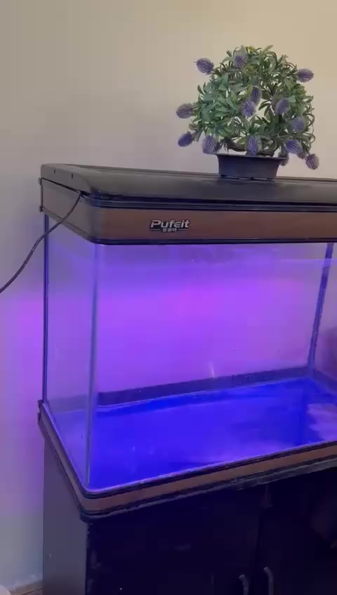 حوض مع الميز للبيع نقص ماطور 
قياس الحوض فقط 
80 عرض 
50 ارتفاع
30 نزال
السعر ب125  مع الميز وييه مجال 
المكان بابل


**إذا كنت صاحب هذا الإعلان وتريد حذفه لأي سبب، رجاءا أرسل رسالة إلى الدعم الفني**