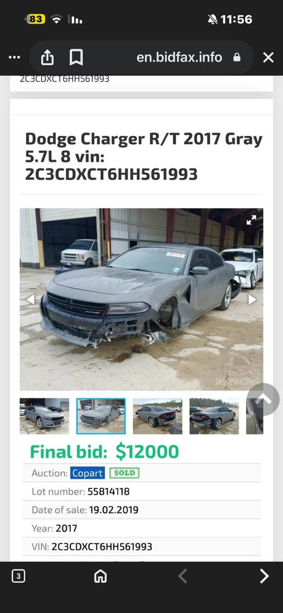 سلام عليكم جارجر ارتي مديل 17 اصل السعر 195 بيها جاملغ امامي وقطعتين تبديل بدون ارياك ويدون شواصي مكفولات سياره جديده ماشيه 14 الف واحله من الصور كلشي جديد بيها حداديه صار سبوع من بدلتها كله جديد تخم تاير ويل جديد دوشمه كشنات وارضيه زرع عدسات غير متواجد ع الفيس العنوان بصره ام قصر ***********
