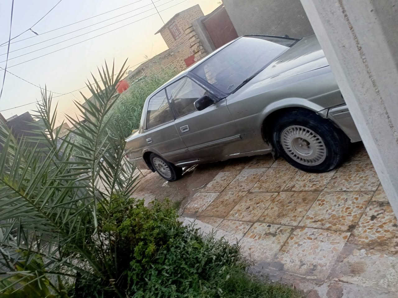 ها رتوب موديل 91 نجف مكفولةمن الضربه والكصه كير ومكينه شرط  والصوليات  سعر 28 
***********
