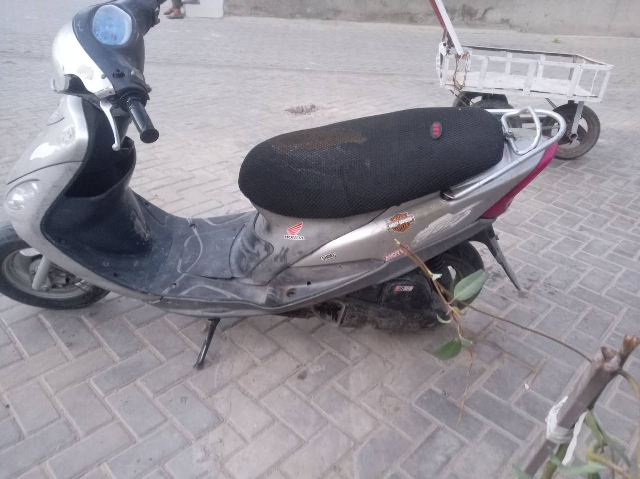 ماكس مغولي 120 درجه شوفتك عينك نضيفه ريدها 300 وبيها مجال العنوان مدينه الصدر الحبيبيه صالنصه رياضي بيها مفوله ❤️‍🔥


**إذا كنت صاحب هذا الإعلان وتريد حذفه لأي سبب، رجاءا أرسل رسالة إلى الدعم الفني**