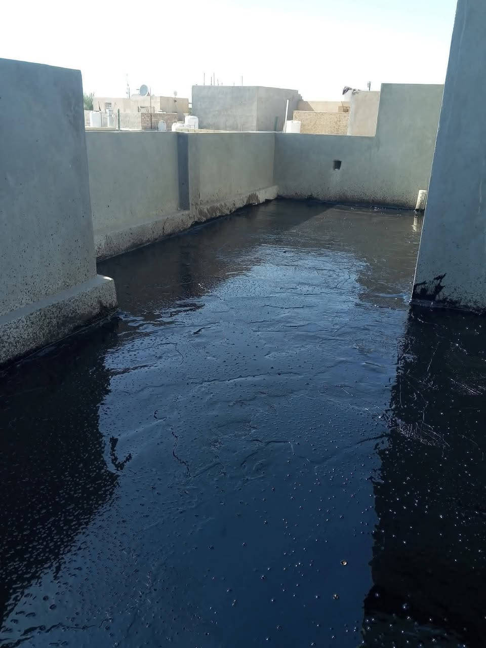 تعلن سكلة  المنكوشي لبيع الجير في كربلاء في اسعار مناسبه الاستفسار الارقام الهاتفيه *********** ***********📢***********
