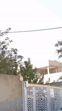 2021
Fwl mwasafat
***********
